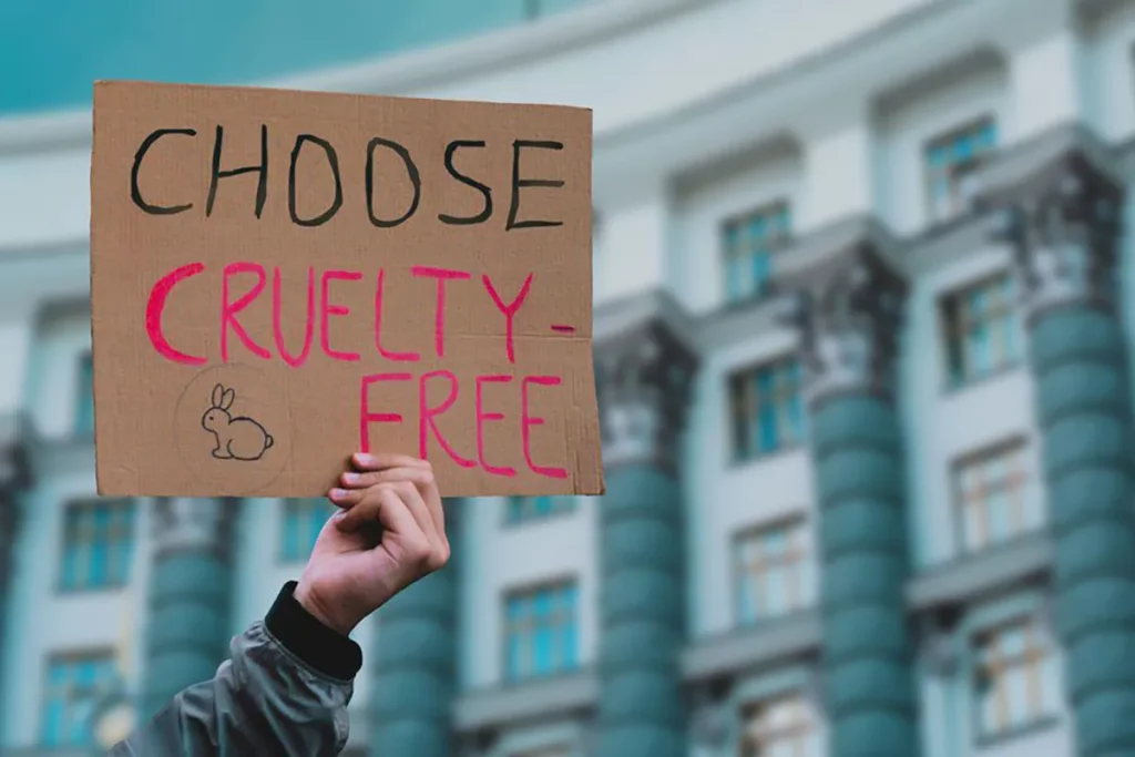 Cruelty free vegetarian food