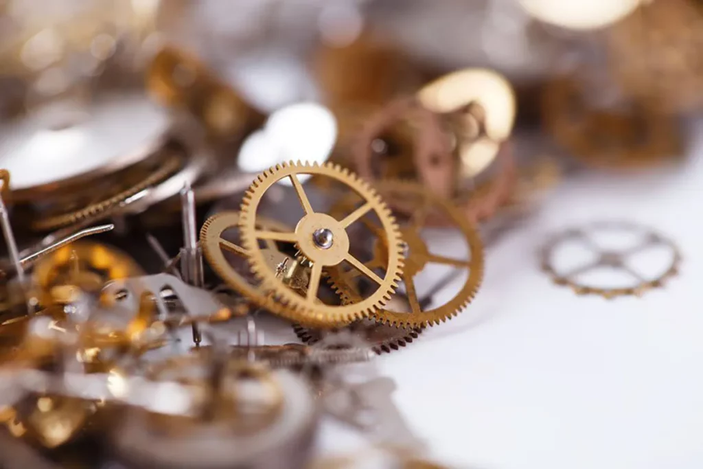 Watch gear