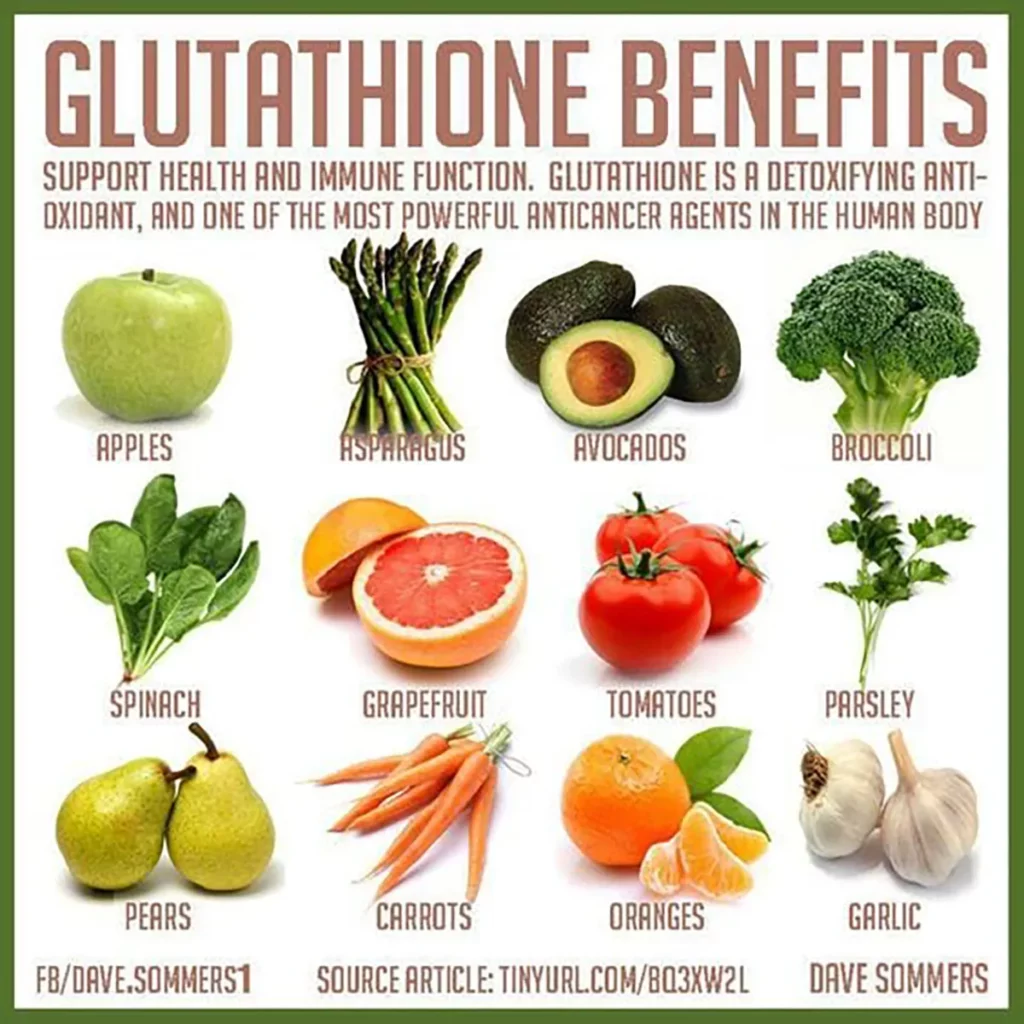glutathione the msot abundant Glutathione: Master Antioxidant, Reducing Oxidative Stress, and Detoxification presented in a pure and simple form Glutathione - an overview |